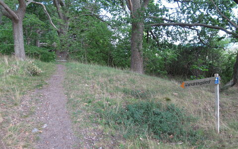 Trollsjö Stegeborg: Plant, Plant Community, Tree, Natural Landscape, Land Lot, Grass, Biome, Shrub, Groundcover, Terrestrial Plant