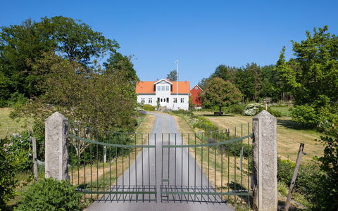 Matvik: Sky, Plant, Property, Building, Vegetation, Land Lot, Architecture, Tree, Road Surface, House