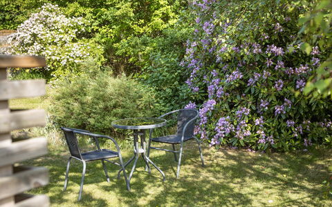 Ringsegård Höjden: Plant, Plant Community, Flower, Table, Botany, Natural Landscape, Outdoor Furniture, Tree, Vegetation, Outdoor Table