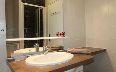 Plouhinec Morbihan 648: Mirror, Tap, Plumbing Fixture, Sink, Bathroom Sink, Property, Wood, Bathroom, Interior Design, Floor