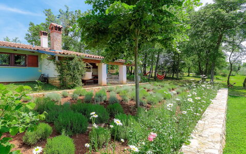 Country House D&D: Property, Garden, Yard, Natural Landscape, House, Land Lot, Grass, Real Estate, Botany, Plant