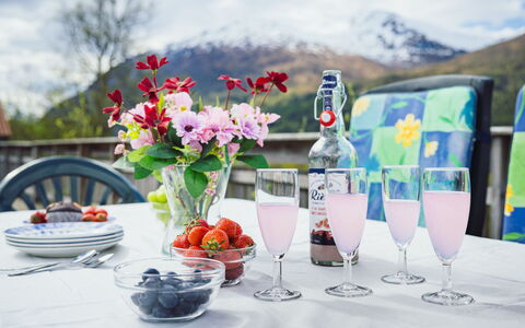 Elvehuset: Tableware, Drinkware, Stemware, Table, Wine Glass, Barware, Food, Serveware