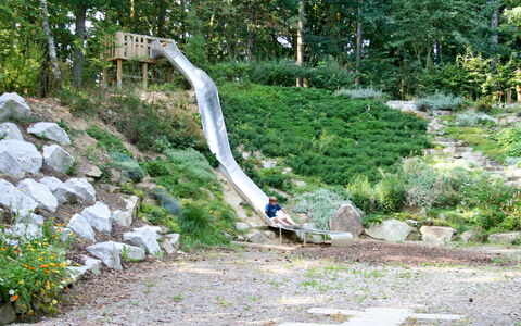 Zandt 604: Nature Reserve, Botany, Tree, Landscape, Plant, State Park, Chute, Garden, Forest, Landscaping