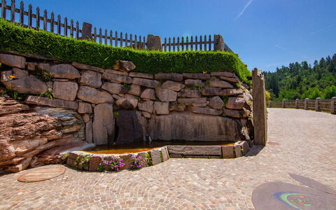 Accommodation:&nbsp;Golden 650.2