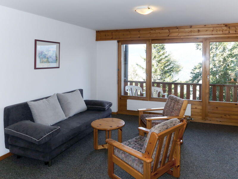 Accommodation:&nbsp;Hameau D12 631.1