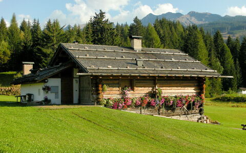 Chalet Baita Tabià Dolomites: Property, House, Natural Landscape, Grass, Home, Grassland, Farmhouse, Mountain Range, Alps, Building