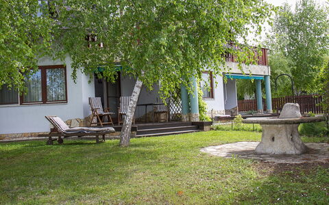 Polgar: Plant, Property, Building, Window, Nature, Leaf, Shade, Tree, Outdoor Bench, Land Lot