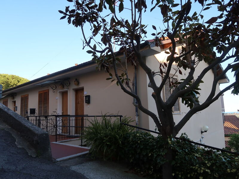 Le Mimose