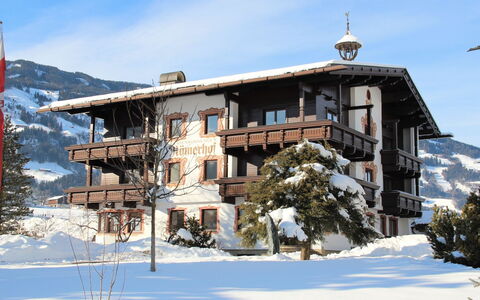 Fügen 336: Sky, Building, Snow, Plant, Mountain, Cloud, Window, Tree, Slope, House