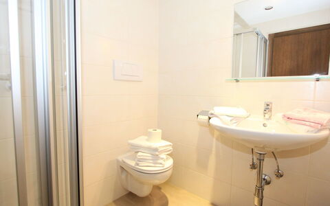 Fügen 336: Bathroom, Property, Room, Plumbing Fixture, Toilet, Interior Design, Wall, Architecture, Real Estate, Building
