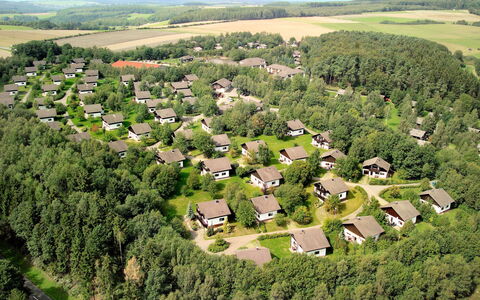 Thalfang 200: Plant, Property, Sky, Ecoregion, Nature, Natural Landscape, Tree, Natural Environment, Land Lot, Vegetation