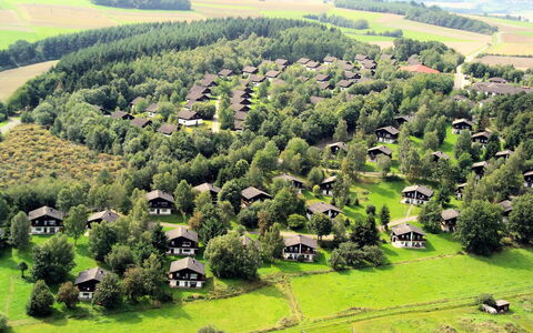 Thalfang 200: Plant, Plant Community, Green, Nature, Natural Environment, Natural Landscape, Tree, Land Lot, Highland, Vegetation