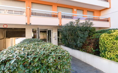 Arcachon 577: Plant, Property, Building, Botany, Vegetation, Urban Design, Grass, Neighbourhood, Residential Area, Real Estate