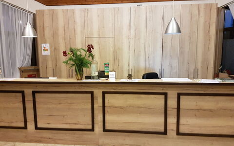 Gerolstein 200: Cabinetry, Furniture, Countertop, Wood, Tap, Building, Flowerpot, Shelving, Interior Design, Rectangle