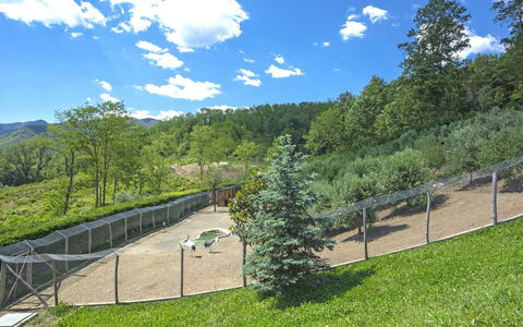 Agr. Castello della Mugazzena: Cloud, Sky, Plant, Tree, Natural Landscape, Shade, Highland, Land Lot, Grassland, Cumulus