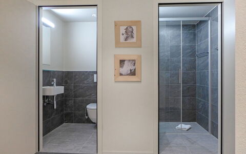 Meiringen 9000: Wall, Flooring, Floor, Door, Interior Design, Composite Material, Bathroom, Tile, Room, Glass