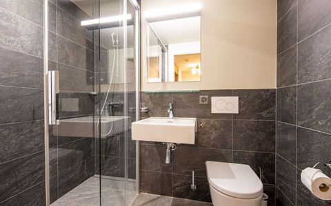 Meiringen 9000: Flooring, Floor, Interior Design, Bathroom, Plumbing Fixture, Ceiling, Plumbing, Sink, Tap, Shower