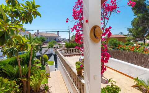 Remedios: Property, Real Estate, Botany, House, Building, Home, Vacation, Plant, Architecture, Flower