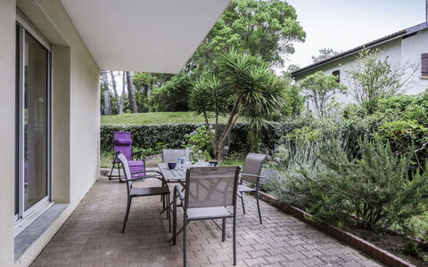 Tassigny: Plant, Furniture, Window, Building, Chair, Tree, Shade, Sky, Table, Houseplant