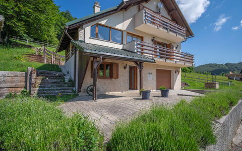 Lady Lavender: Plant, Sky, Building, Window, Cloud, House, Land Lot, Wood, Architecture, Tree