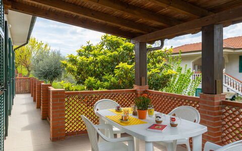 Ludovica: Table, Furniture, Property, Plant, Wood, Tableware, Flowerpot, Shade, Chair, Interior Design
