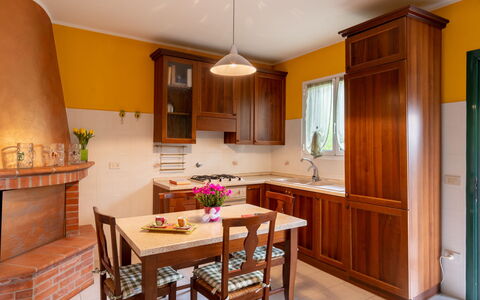 Ludovica: Countertop, Furniture, Cabinetry, Property, Table, Window, Wood, Kitchen, Chair, Interior Design