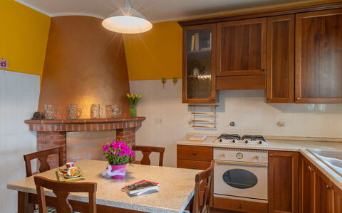Ludovica: Cabinetry, Furniture, Property, Table, Countertop, Plant, Flower, Kitchen Stove, Houseplant, Interior Design
