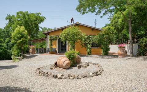 Villa Lavinia: Plant, Sky, Property, Window, Tree, Building, Road Surface, House, Natural Landscape, Landscape