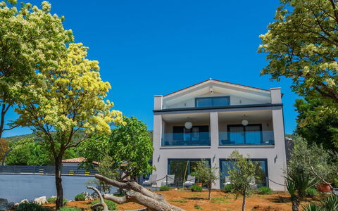 A.r.t.: Property, Tree, House, Real Estate, Home, Sky, Architecture, Building, Yellow, Residential Area