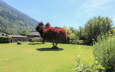 Sonnblick: Natural Landscape, Nature, Vegetation, Tree, Garden, Grass, Sky, Botanical Garden, Wilderness, Grassland
