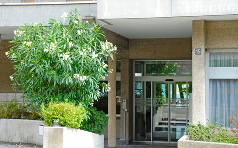 Apt. Lugano Majestic Panorama: Green, Property, Tree, Real Estate, Building, Plant, Architecture, Botany, House, Facade