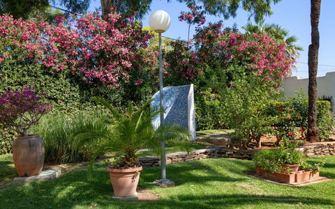 Albaranas: Flower, Plant, Sky, Property, Flowerpot, Botany, Nature, Tree, Street Light, Grass