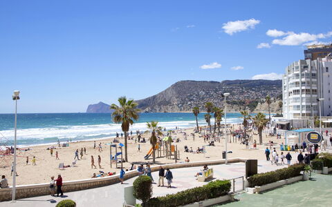 Calpe Calp 262: Water, Plant, Azure, Tree, Sky, Swimming Pool, Arecales, Shade, Leisure, Real Estate