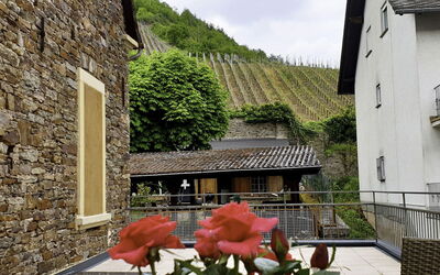 Winzerhaus - Wittlich, Rheinland-Pfalz, Germany
