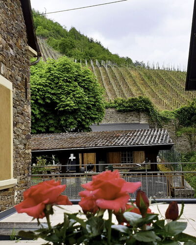 Winzerhaus