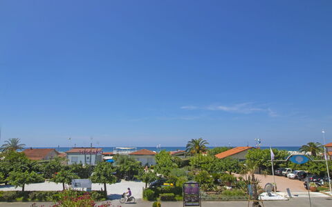 Sandra: Sky, Plant, Tree, Urban Design, Arecales, Asphalt, Cloud, Road Surface, Residential Area, Leisure