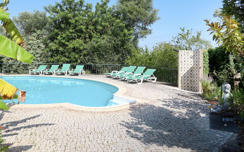 Monte Meco: Plant, Sky, Water, Swimming Pool, Azure, Tree, Flowerpot, Shade, Outdoor Furniture, Leisure