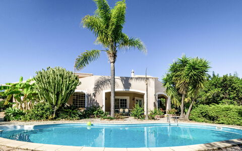 Monte Meco: Water, Plant, Sky, Property, Daytime, Nature, Azure, Tree, Building, Natural Landscape
