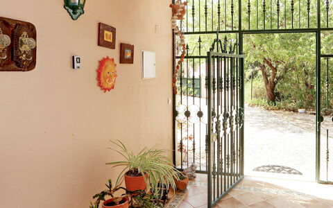 Monte Meco: Plant, Property, Picture Frame, Lighting, Interior Design, Wood, Building, Houseplant, Wall, Art