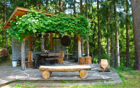 Castro 150: Tree, Nature Reserve, Botany, Table, House, Woodland, Plant, Forest, Pavilion, Room
