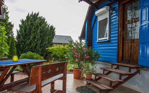 Blue: Flower, Plant, Property, Window, Furniture, Flowerpot, Blue, Building, Houseplant, Shade