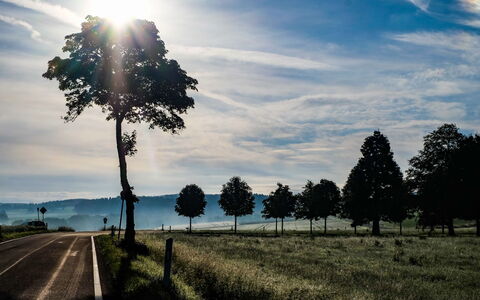 Schönecken 100: Sky, Property, Plant, Tree, Building, Land Lot, Slope, Shade, Asphalt, Wood