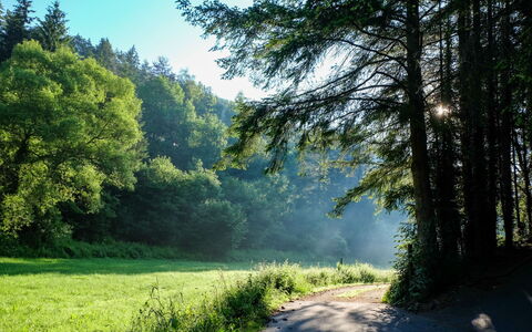Schönecken 100: Sky, Property, Plant, Tree, Building, Land Lot, Slope, Shade, Asphalt, Wood
