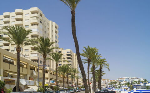 Carmen Vistamar: Tree, Residential Area, Neighbourhood, Palm Tree, Mixed-Use, Daytime, Property, Woody Plant, Building, Town