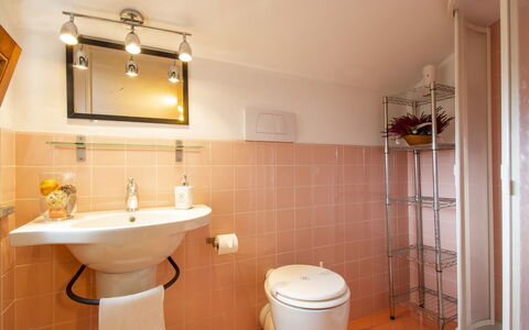 La Rondine (Luu280): Brown, Mirror, Property, Sink, Plumbing Fixture, Tap, Bathroom Sink, Bathroom, Wood, Purple