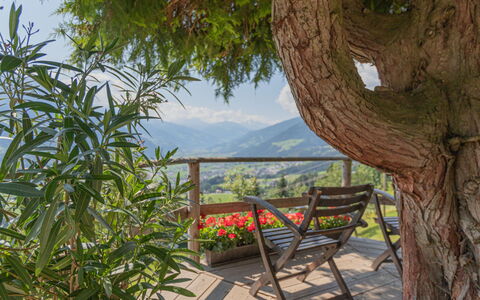 Fügen 450: Tree, Property, Botany, Real Estate, House, Plant, Room, Furniture, Landscape, Vacation