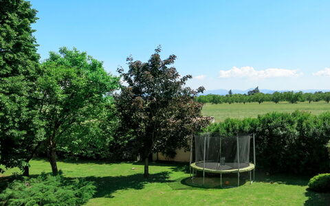 Marina: Tree, Green, Natural Landscape, Woody Plant, Land Lot, Plant, Grass, Shrub, Garden, Park