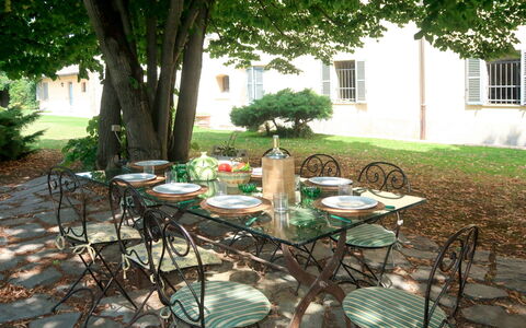Marina: Table, Outdoor Table, Furniture, Botany, Tree, Backyard, Chair, Yard, Patio, Tablecloth