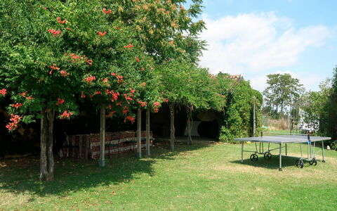 Marina: Tree, Green, Vegetation, Grass, Plant, Botany, Leaf, Garden, Woody Plant, House