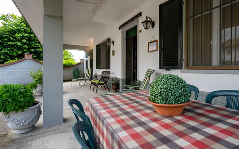 Casa della Peschiera: Plant, Furniture, Property, Table, Chair, Flowerpot, Building, Houseplant, Window, Lighting